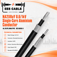Câble d'alimentation monophasé 0,6/1 kV à conducteur en aluminium, isolation XLPE, blindage en aluminium, gaine en PVC, conforme à la norme IEC 60502-1