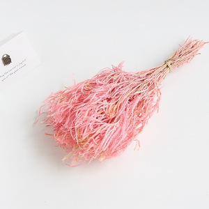 ยูนันขายส่งดอกยูลาลิโอปซิส บินาต้าแห้งสวยงามสำหรับตกแต่งงานแต่งงาน - Product Image 4