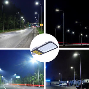 Lampes de jardin de l'industrie moderne Multi-spécifications 20W 30W 50W 100W 150W 200W Lampe de rue noire étanche - Product Image 4