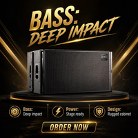 Système de sonorisation actif avec amplificateur DSP, double caisson de basses de 18 pouces, 1600 W, pour spectacles en plein air
