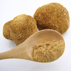 Yüksek kalite fabrika fiyat aslan yelesi ham toz tıbbi aslan mantar zemin tozu özü değil - Product Image 2