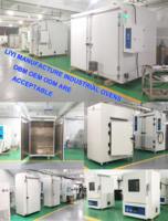 Liyi personnalisé haute température grand four de polymérisation air chaud circulant laboratoire four de chauffage prix du four de séchage industriel