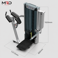 Máquina Comercial de Glúteos Selectorizada para Kickback y Extensión de Cadera, Entrenador de Fuerza para Gimnasios y Clubes de Fitness