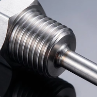 RTD PT100 PT1000 Temperature Sensor Probe Class a Stainless Steel with 1m 3m 5m Fiberglass Cable for Gas Liquid