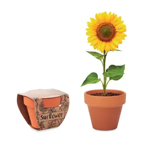 Barattolo per Semi di Girasole SUNFLOWER, Gadget Ecologici - Product Image 3