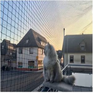 <span class=keywords><strong>Filet</strong></span> <span class=keywords><strong>anti</strong></span>-escalade <span class=keywords><strong>pour</strong></span> <span class=keywords><strong>chat</strong></span>, <span class=keywords><strong>filet</strong></span> en maille PE durable, résistant aux chats, <span class=keywords><strong>pour</strong></span> clôture de jardin, garde-corps - Product Image 1