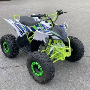ZHUOXUAN STC019 Cuatrimoto Infantil de 110cc para Uso Agrícola, ATV para Niños, Todoterreno, Construcción de Plástico y Hierro - Product Image 3