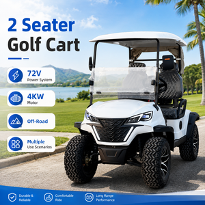 Voiturette <span class=keywords><strong>de</strong></span> golf électrique 2 places certifiée CE pour concessionnaires OEM, opérations <span class=keywords><strong>de</strong></span> location, sites <span class=keywords><strong>de</strong></span> loisirs, vitesse 30-50 km/h, autonomie 70-90 km, homologation DOT, conformité EMC - Product Image 1