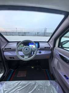 YOULAND <span class=keywords><strong>2026</strong></span>新款电动车高品质小型车低速四座车中国工厂热销最新2000W电机 - Product Image 6