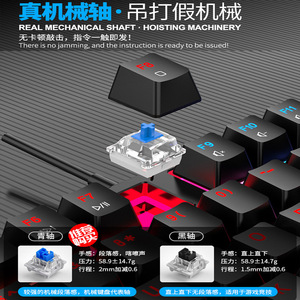 Tastiera meccanica RGB a 87 tasti con interasse blu Full-Key Non Glass Free Type-C nuove funzionalità - Product Image 4