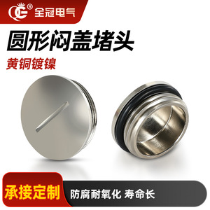 QG Metal Round Slotted End Cap M Pg Brass 10-48mm Valve Plug - Product Image 4