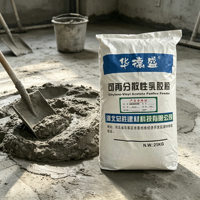 Poudre de polymère redispersible (RDP) VAE en vrac – Additif chimique pour la construction