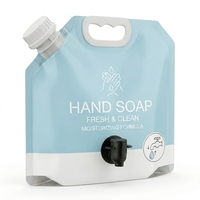 Pochettes souples à bec verseur grande capacité 3L 5L avec robinet, pour recharge de savon liquide et détergent, emballage de recharge autoportant