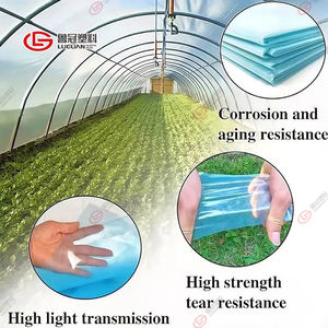 صفيحة بلاستيكية لتغطية نفق البولي إيثيلين المقاوم للأشعة البنفسجية للزراعة - Product Image 3