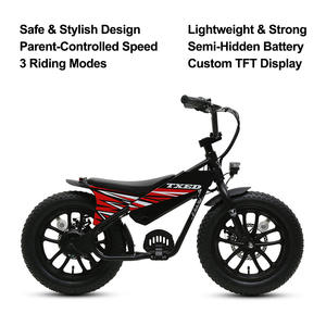 TXED Popular Juego <span class=keywords><strong>de</strong></span> Ruedas Integradas <span class=keywords><strong>con</strong></span> Neumáticos Gruesos <span class=keywords><strong>de</strong></span> 16 Pulgadas, Motocicleta Eléctrica para Niños, Bicicleta Eléctrica <span class=keywords><strong>de</strong></span> 250W - Product Image 3