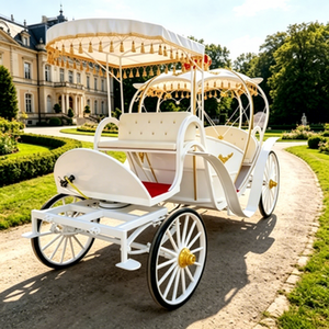 Calèche Citrouille Style Européen pour Mariage, Personnalisable, <span class=keywords><strong>Prix</strong></span> Usine, Idéale pour Visites Panoramiques - Product Image 1