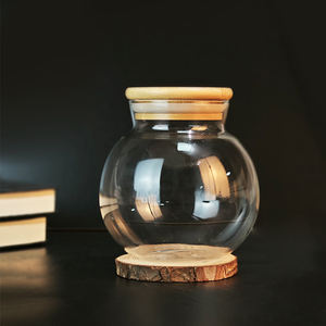 Pot en verre transparent exquis liège Micro paysage bouteille écologique Terrarium conteneur Aquarium veilleuse réservoir de poissons décor verre - Product Image 4