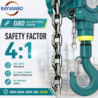 Palans pneumatiques antidéflagrants Rayvanbo Spark Free certifiés 0,5T-5T, commande à distance, protection IP54/55, chaîne G80, huile