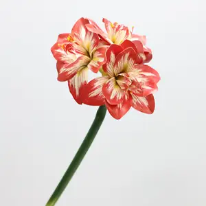 J-041 ดอกไม้จําลอง Clivia ดอกไม้สีแดงจัดห้องนั่งเล่นในบ้านล็อบบี้โรงแรมระเบียงตกแต่งชิ้นดอกไม้ Art