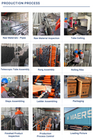 Fabricant d'échelles pliantes télescopiques en acier inoxydable, design en forme de A, logo personnalisé, service OEM pour les acheteurs mondiaux