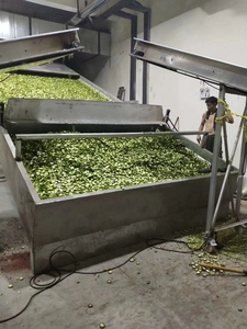 Ớt và xoài sấy khô và dehydrating equipmentbelt máy sấy cho dehydrating rau và trái cây - Product Image 6