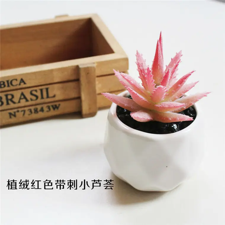 Petite décoration en pot plastique Mini plante artificielle succulente