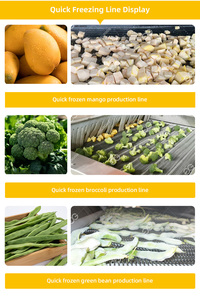 Ligne de production automatique de petits pois surgelés, machine de congélation à bande transporteuse, machine de congélation IQF - Product Image 5