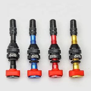 MUQZI-<span class=keywords><strong>Kit</strong></span> de <span class=keywords><strong>Valve</strong></span> <span class=keywords><strong>Tubeless</strong></span>, Bande de Pneu, 40/60mm, <span class=keywords><strong>Valve</strong></span> Française Presta - Product Image 5