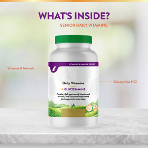 <span class=keywords><strong>Vitaminas</strong></span> Diarias para <span class=keywords><strong>Perros</strong></span> Mayores OEM/ODM con Glucosamina - Masticables Multivitamínicos Completos y de Apoyo a las Articulaciones para Articulaciones Saludables - Product Image 4