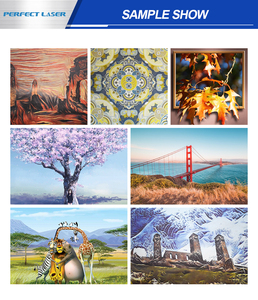 Perfectlaser 3D pittura murale macchine India parete Printing-Machinery-3D-Paper stampante macchina parete verticale di plastica parete - Product Image 3