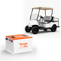 Pasokan Pabrik Baterai Golf Cart TEMGO 48V 100Ah LiFePO4 300A BMS Casing Logam APP LCD Charger untuk Dealer Golf Cart
