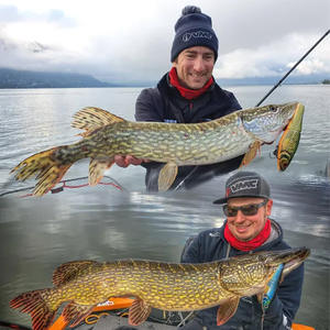 <span class=keywords><strong>Rapala</strong></span> pour Beast Soft Tail Broken Body Bait XRPT14 20cm, leurre de pêche en deux sections, pêche au poisson-chien, pêche en mer, Golden Gun, leurre de pêche - Product Image 3