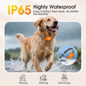 <span class=keywords><strong>Collar</strong></span> Inteligente para Perros con Control de Ladridos, 7 Niveles de Sensibilidad, Suministros de Entrenamiento para Mascotas con 3 Modos de Vibración y Sonido, Resistente al Agua - Product Image 4