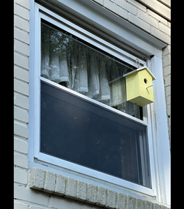 Cửa <span class=keywords><strong>S</strong></span>ổ Trung Chuyển Chim Với Cốc Hút Mạnh Mẽ Và Dây Treo Ngoài Trời Phối Cảnh Nhà Chim Bằng Gỗ Trong Suốt Thiết Kế Tổ Chim - Product Image 4