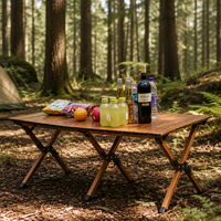 Table de camping pliable en aluminium moderne et portable - Table de pique-nique robuste pour usage extérieur