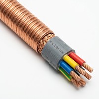 Kabel Daya Lantian RTTYZ 5 Inti Berisolasi Mineral dengan Selubung Tembaga dan Selubung Luar Poliolefin 0.6/1kV 220/380mm untuk Perlindungan Kebakaran