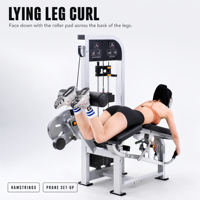 Machine tout-en-un pour extensions et flexions des jambes, idéale pour les salles de sport, les clubs de fitness et la musculation à domicile, équipement d'entraînement des muscles des jambes