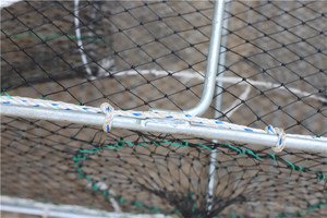 سعر المصنع المجلفن المعادن الصيد جراد البحر سرطان البحر فخ سلك قفص - Product Image 4