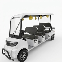 Voiturette de golf électrique 6 places, véhicule utilitaire, bus touristique, petite voiture électrique pour adultes, vitesse 30-50 km/h, autonomie 70-90 km