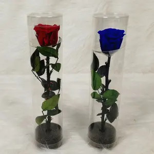 Roses éternelles de qualité A, 12 pièces, fleurs romantiques, avec longue tige