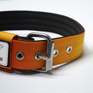 Collier pour chien personnalisé Lunong avec boucle en métal, rembourré, en nylon doux, réglable, rubans imprimés en couleur, durable - Product Image 4