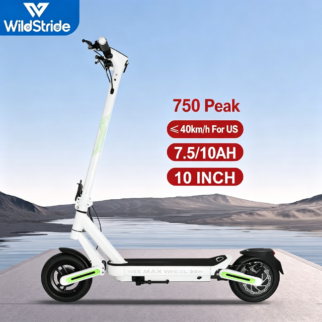 Popular Electric Scooter New Model Excellent Quality Fashion Design Widely Loved by Customers