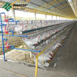 Poules pondeuses professionnelles un type de cage de couche de poulet de batterie de ferme avicole à vendre