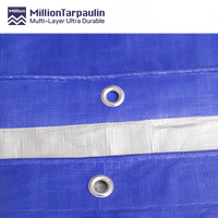 Bâche en polyéthylène tissé (PE) imperméable, bleu argenté, enduite, de poids moyen 180 g/m² 800D, pour abri extérieur de protection, taille Million