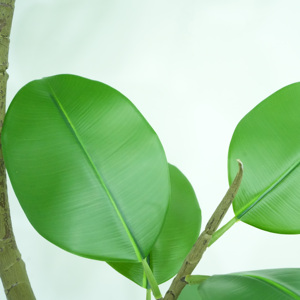 7FT Artificielle Vert Arbre En <span class=keywords><strong>Caoutchouc</strong></span> Extérieur Plancher Tropical Grande Plante De Plancher avec Toucher Réaliste En <span class=keywords><strong>Caoutchouc</strong></span> <span class=keywords><strong>Ficus</strong></span> pour La Décoration Intérieure - Product Image 5
