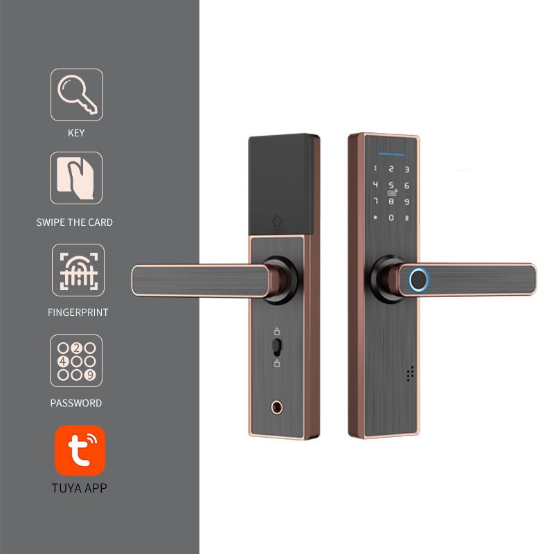 Smart Tuya Aluminum Alloy Door Lock with Digital Fingerprint Password Card Key APP Unlock for Home Security · image 1