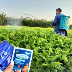 Plant Liquid Growth Biostimulant foliar spray Organic Fertilizer for potato bean pea