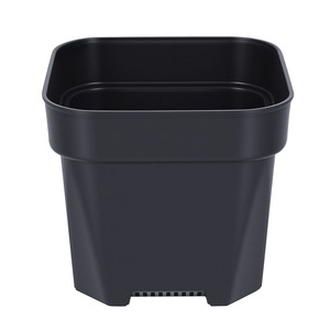 Maceta Cuadrada de Plástico para Suculentas Airi Shield con Orificio de Drenaje para Escritorio - Product Image 1