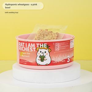 <span class=keywords><strong>Semillas</strong></span> <span class=keywords><strong>de</strong></span> Trigo Especiales para Hámster Sirio, Granos Germinados Hidropónicos, Alimento Comestible para Mascotas Pequeñas - Product Image 5