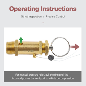 Sns chuyên nghiệp Brass van an toàn BV-02 -10 1/4 "Port Thread Kích thước bộ phận khí nén cho 10 bar áp lực - Product Image 6